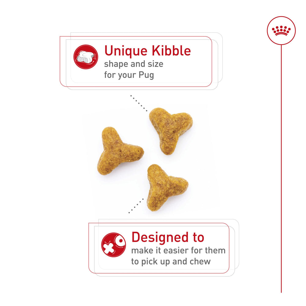 Cloverleaf kibble shape for comfortable Pug chewing