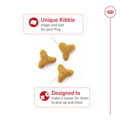 Cloverleaf kibble shape for comfortable Pug chewing