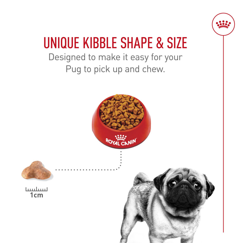 Protein balance with L-Carnitine boosts lean muscle for Pugs