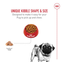 Protein balance with L-Carnitine boosts lean muscle for Pugs