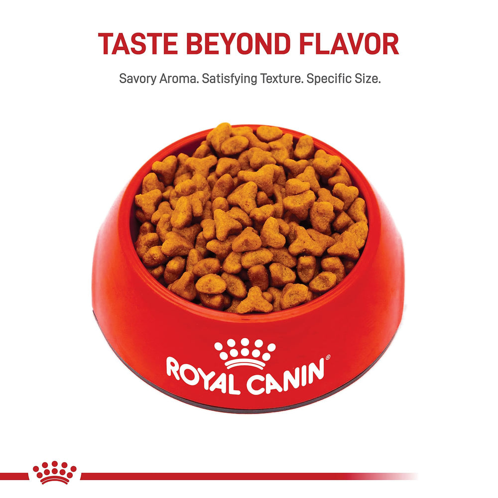 Serving bowl presentation showing balanced daily meals for Pug