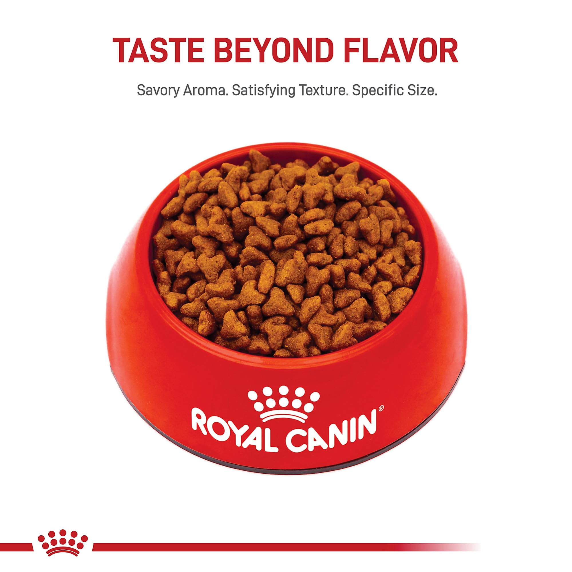 Royal Canin Pug Puppy feeding scene illustrating easy pick-up during meals.