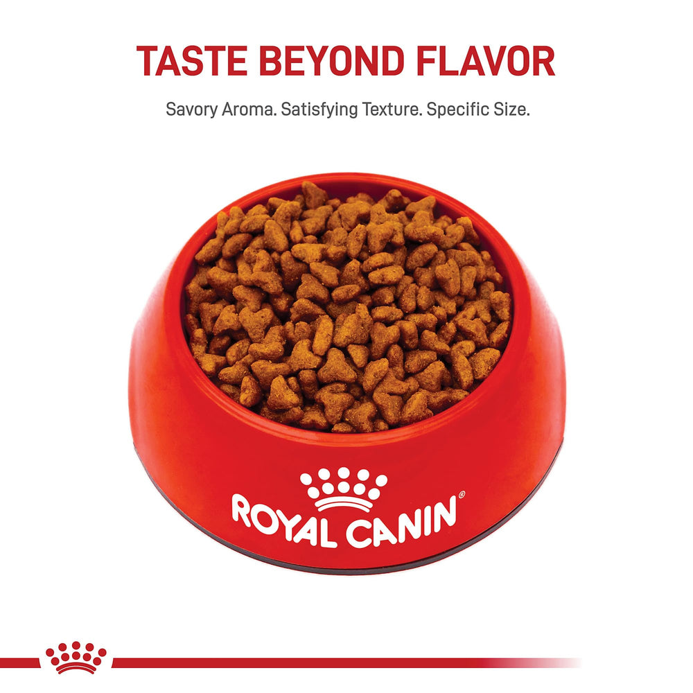 Royal Canin Pug Puppy feeding scene illustrating easy pick-up during meals.