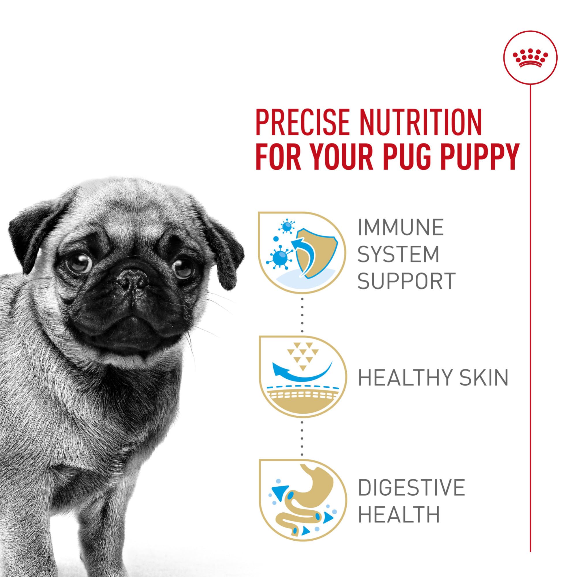 Royal Canin Pug Puppy antioxidant blend emphasizes immune support potential.