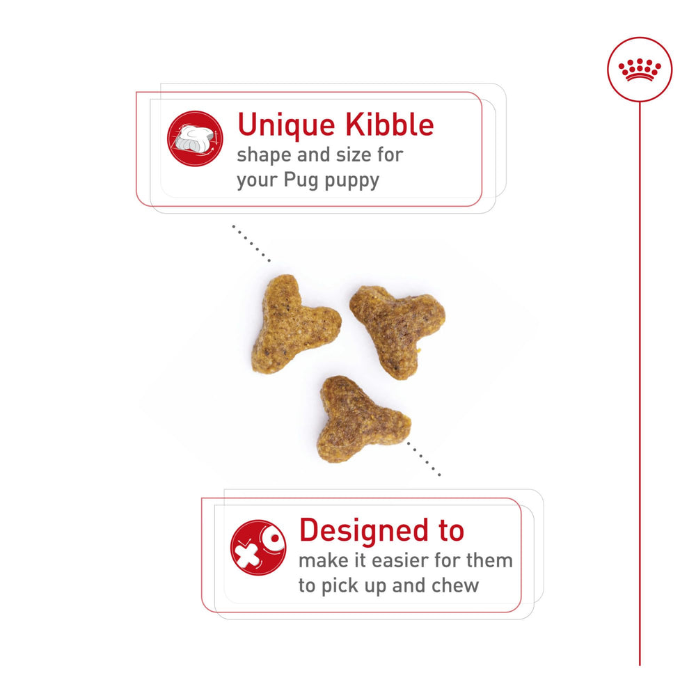 Royal Canin Pug Puppy kibble design close-up showing easy-chew size.