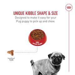 Royal Canin Pug Puppy skin and coat care nutrients for healthy fur.