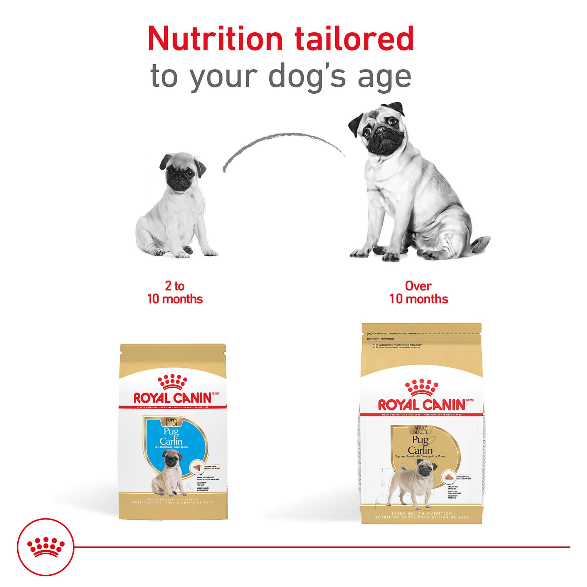 Royal Canin Pug Puppy small-breed kibble for portion control.