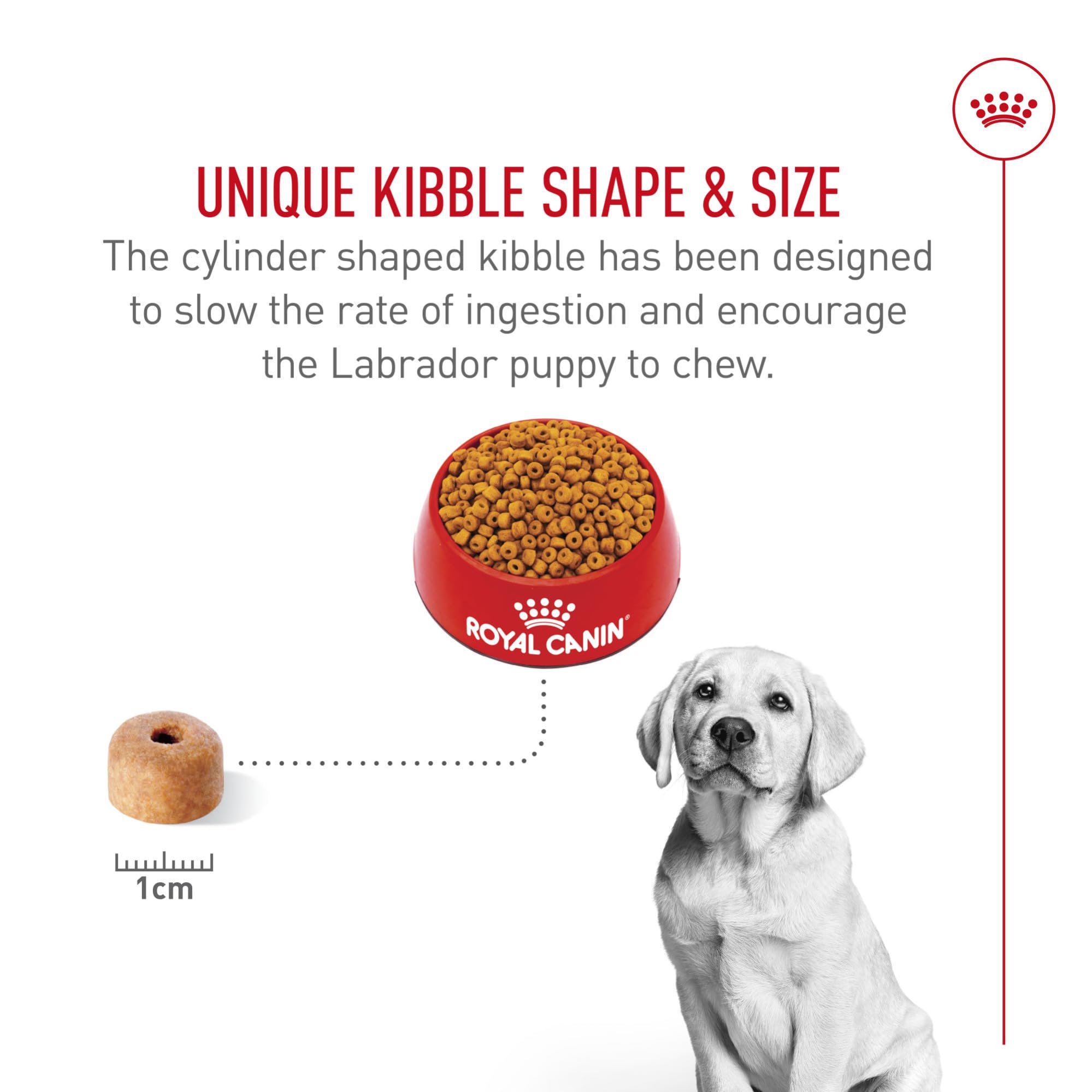 Royal Canin Labrador puppy food supports balanced energy for growth.