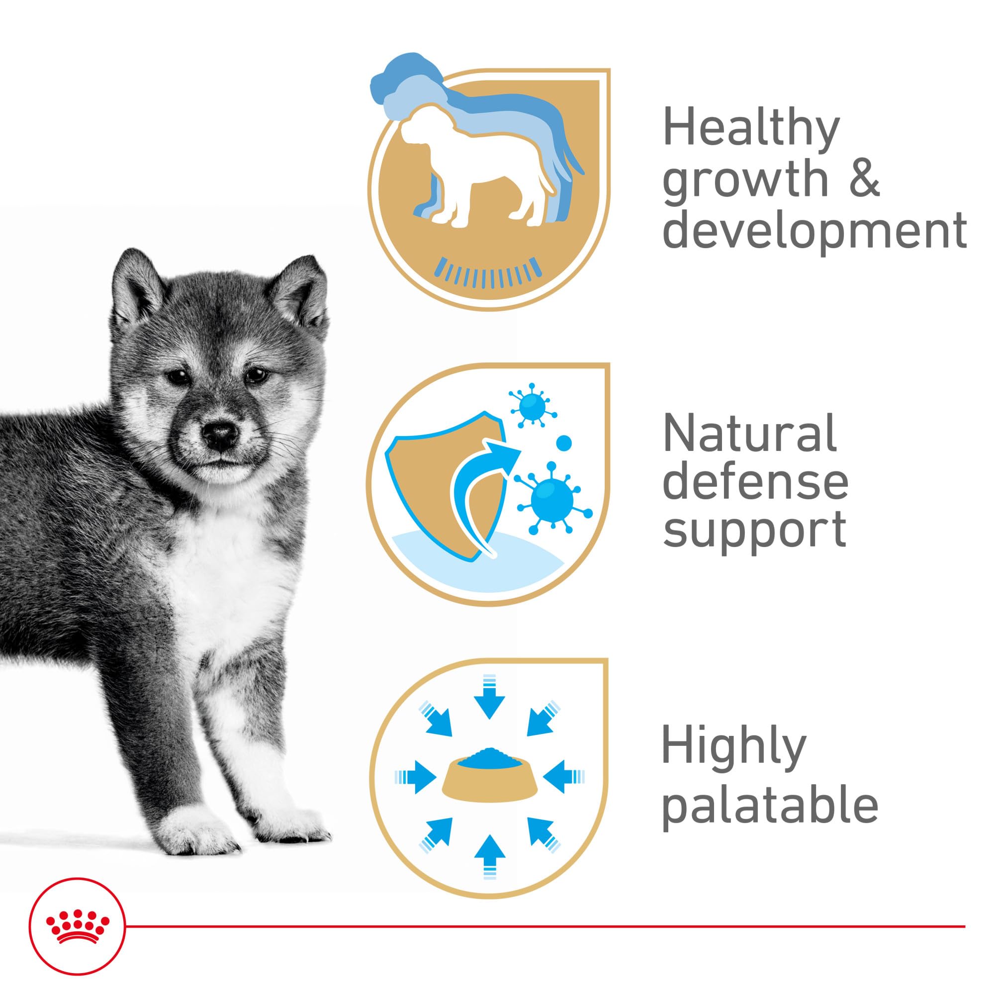 Royal Canin Puppy Loaf can packaging label highlighting targeted nutrition for puppies.