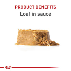 Royal Canin Puppy Loaf in Sauce close-up showing pâté texture for digestible nutrition.