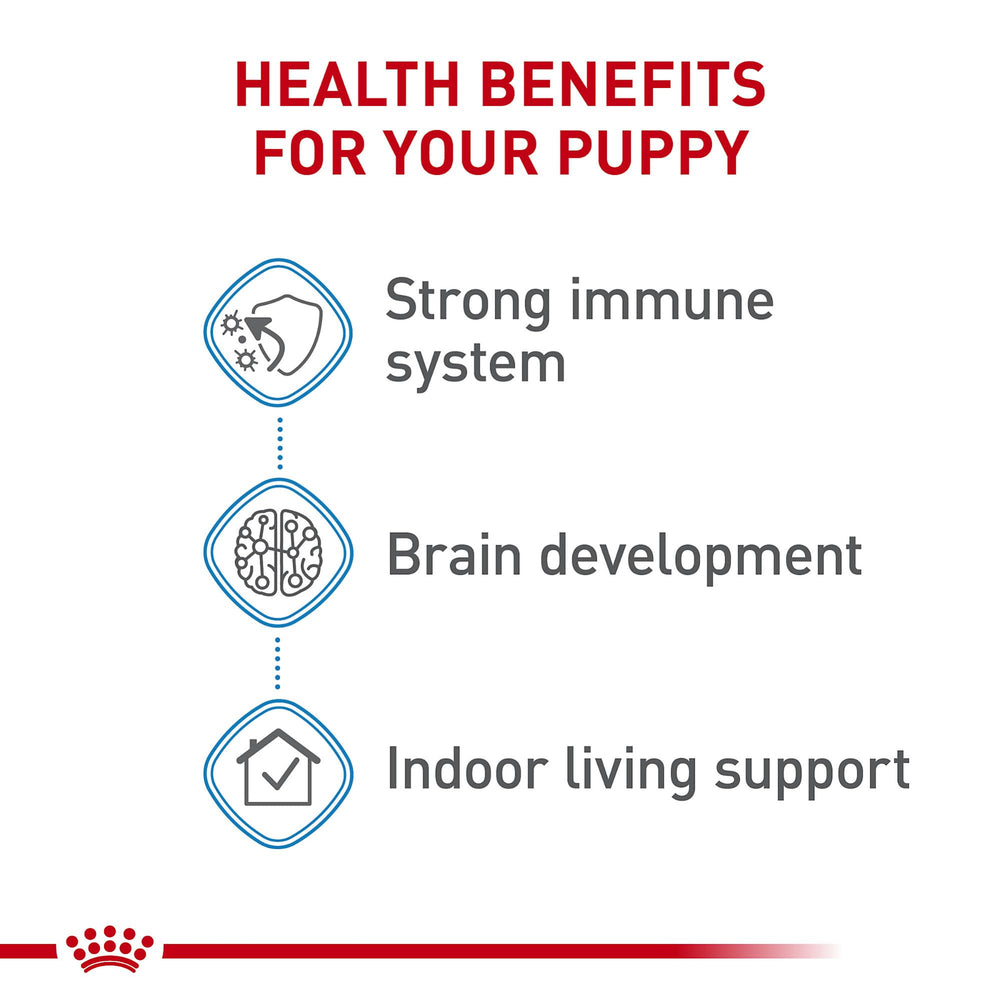 Royal Canin puppy enjoying a meal, balanced nutrition for growth