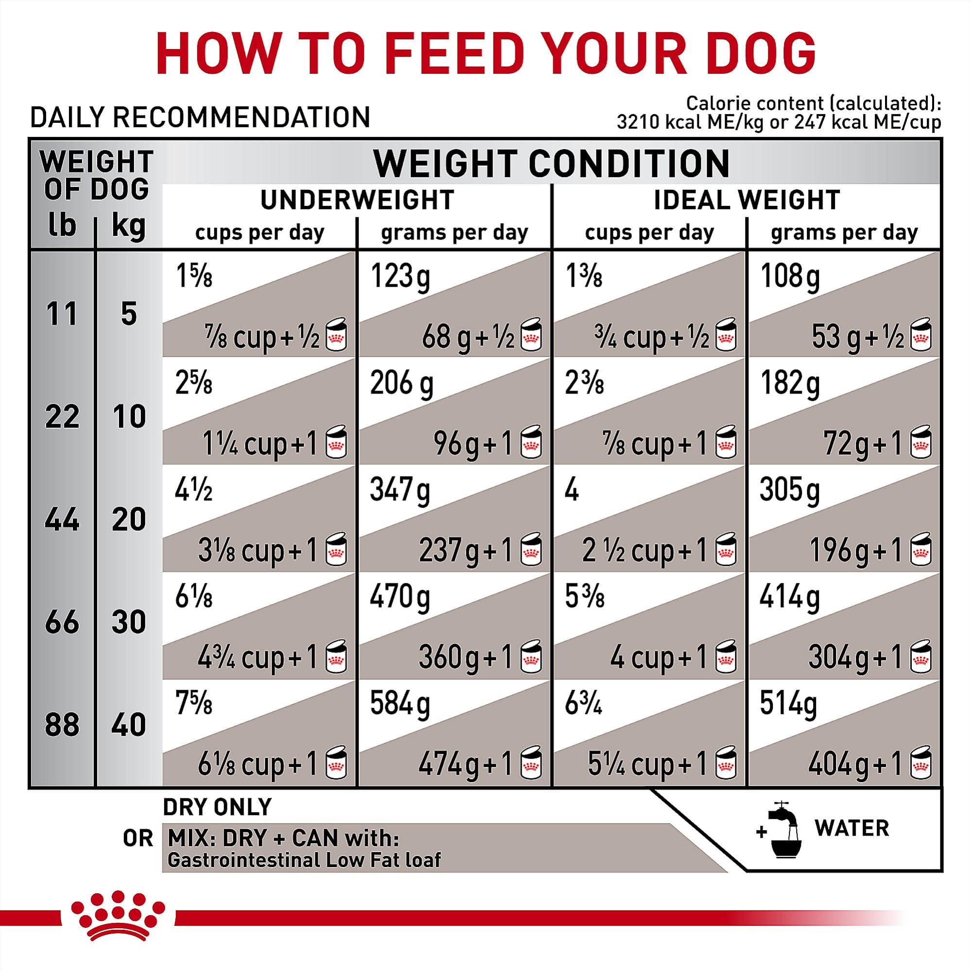 Quality and safety focus of Royal Canin GI veterinary diet
