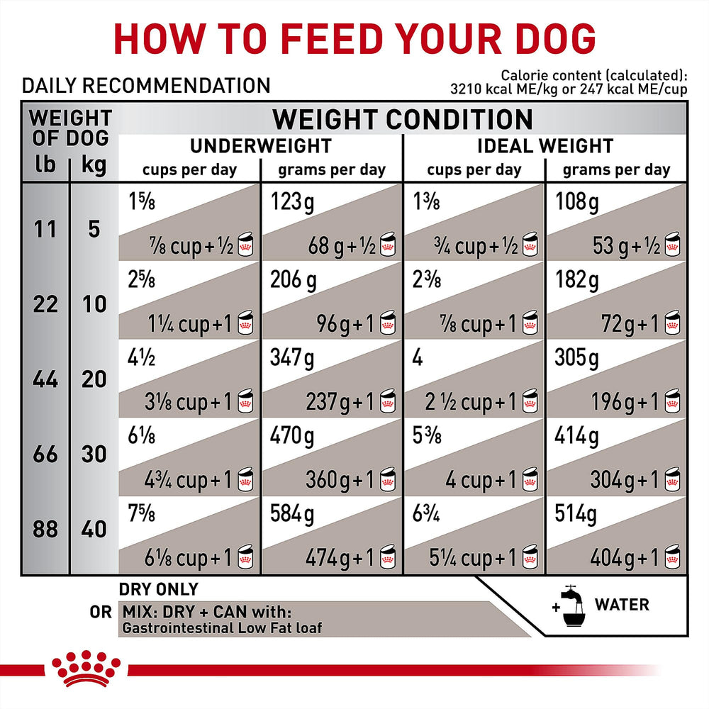 Quality and safety focus of Royal Canin GI veterinary diet