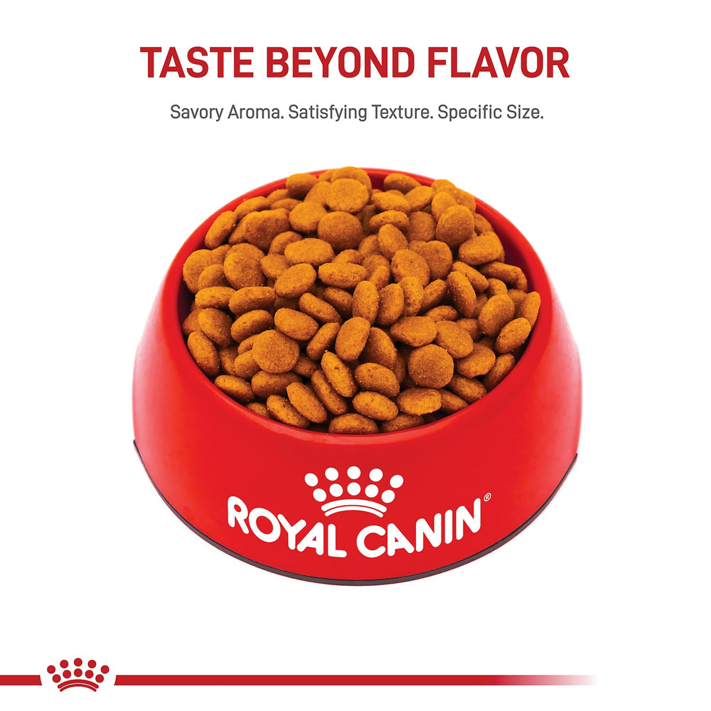 Royal Canin quality and safety focus on packaging and labeling.