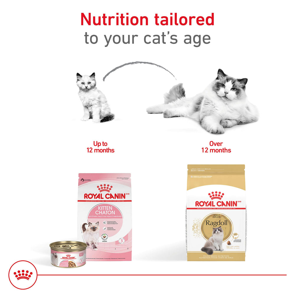 Open bag with Royal Canin Ragdoll kibble spilling hinting at freshness