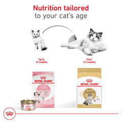 Open bag with Royal Canin Ragdoll kibble spilling hinting at freshness