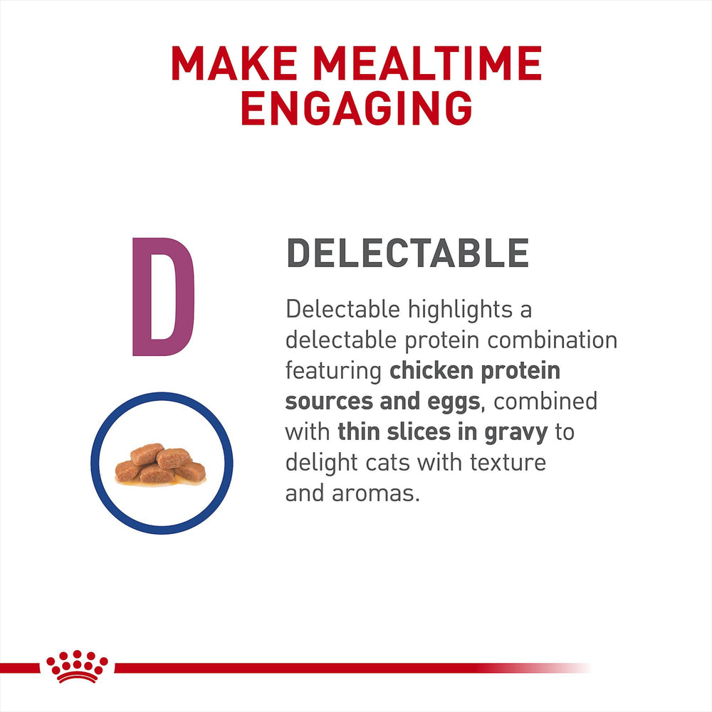 Royal Canin Renal Support D fish oil fatty acids visible, supporting wellness.