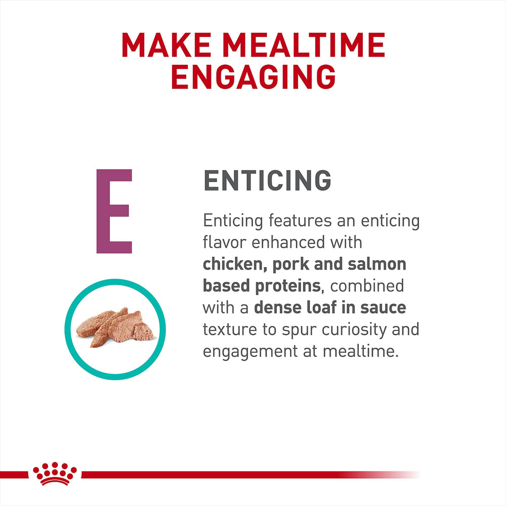 Serving in a bowl: Royal Canin Renal Support E, ready to serve.
