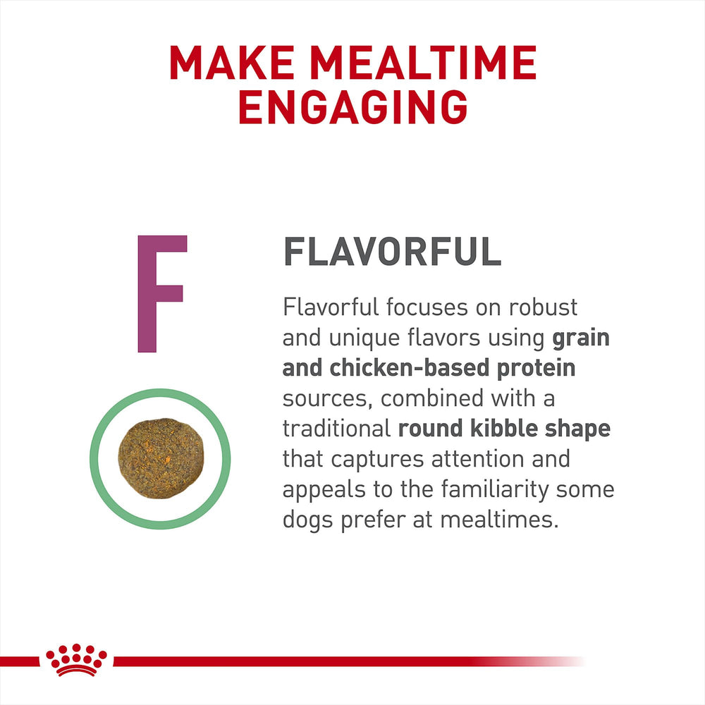 Round kibble of Renal Support F designed to encourage eating.