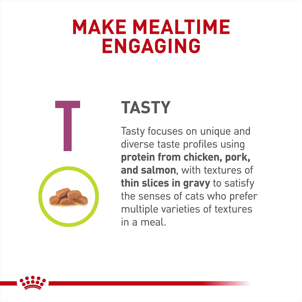 Royal Canin Renal Support T appetizing formula boosts meal interest