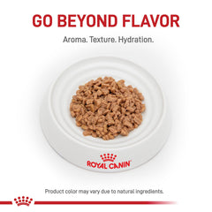 Royal Canin Renal Support T closeup gravy highlights glossy meal