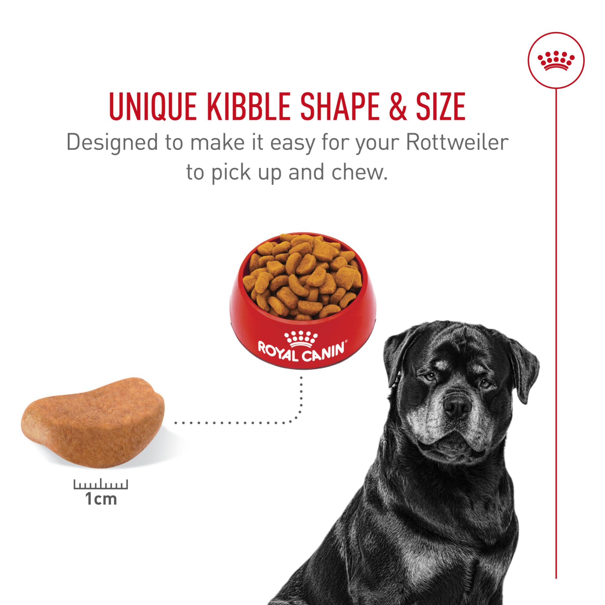 Royal Canin Rottweiler Adult supports muscle mass with precise protein and L-carnitine