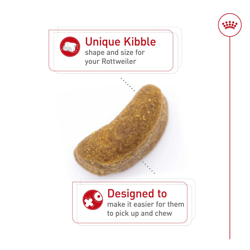 Royal Canin Rottweiler Adult specialized kibble designed for easy pickup and slow chewing