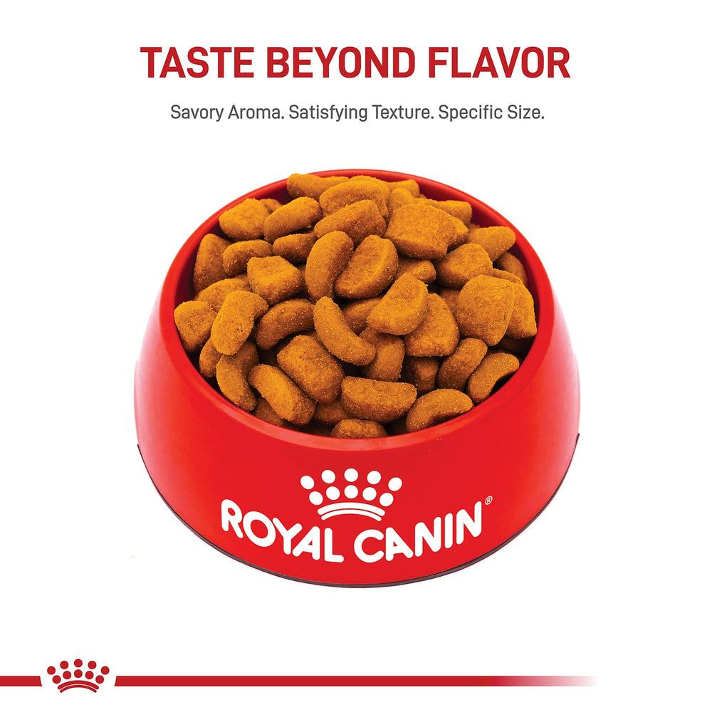 Royal Canin Rottweiler Adult taurine and DHA support for strong heart and mobility