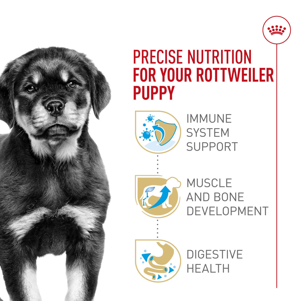 Antioxidants including vitamin E in Royal Canin Rottweiler Puppy support immune development