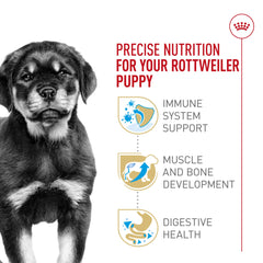 Antioxidants including vitamin E in Royal Canin Rottweiler Puppy support immune development