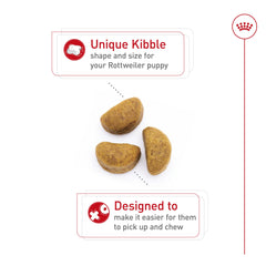 Kibble shape for Royal Canin Rottweiler Puppy aiding easy chewing