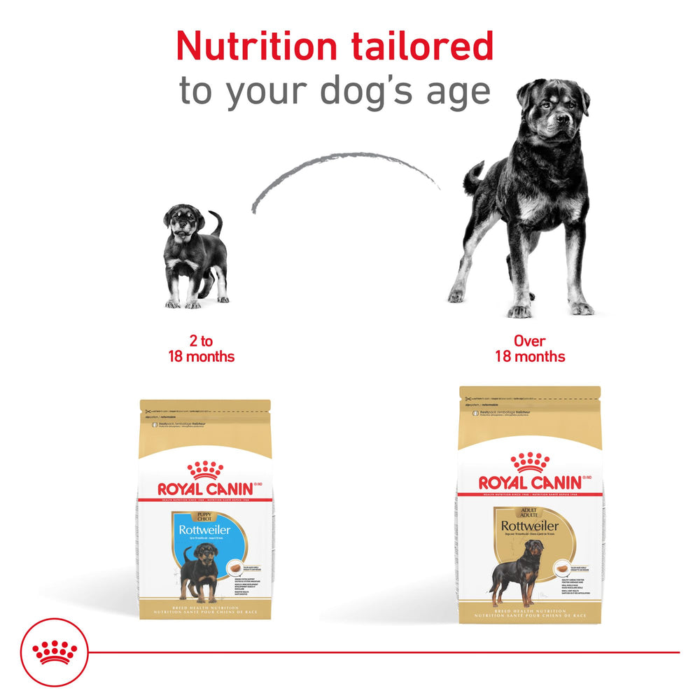 Breed-specific large-breed diet for Royal Canin Rottweiler Puppy growth