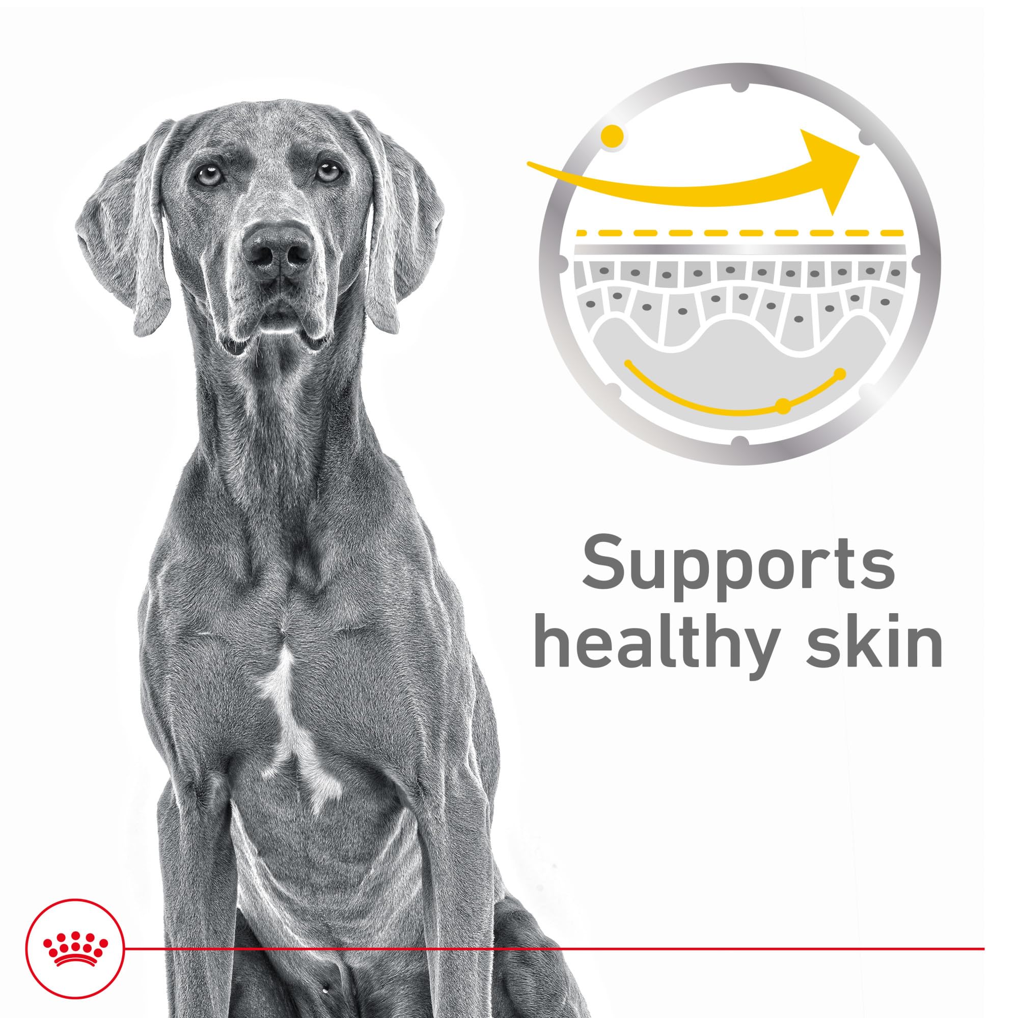 Royal Canin Sensitive Skin Care loaf texture close-up for varied meals.