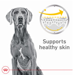 Royal Canin Sensitive Skin Care loaf texture close-up for varied meals.