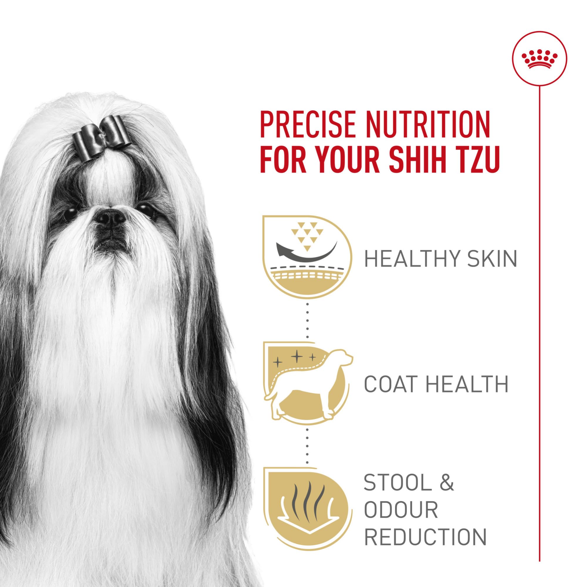 Royal Canin Shih Tzu Adult Dry Dog Food dog eating from a bowl