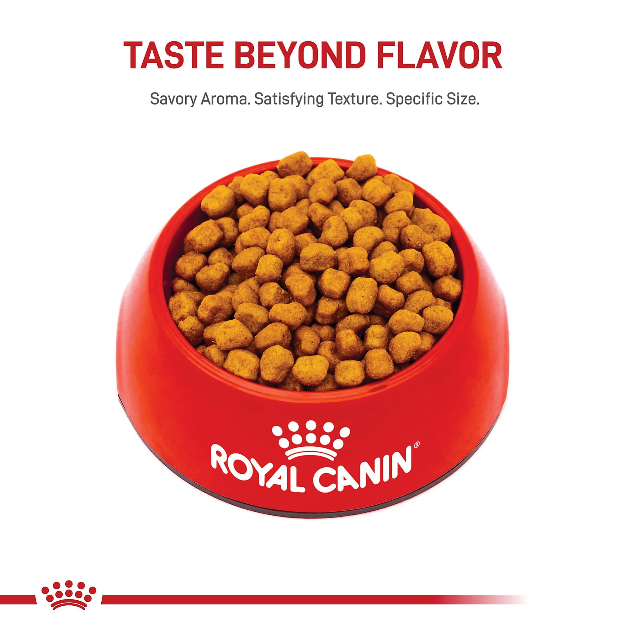Royal Canin Shih Tzu meal time serving suggestion for picky eaters