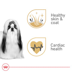 Royal Canin Shih Tzu loaf in sauce packaging front view.