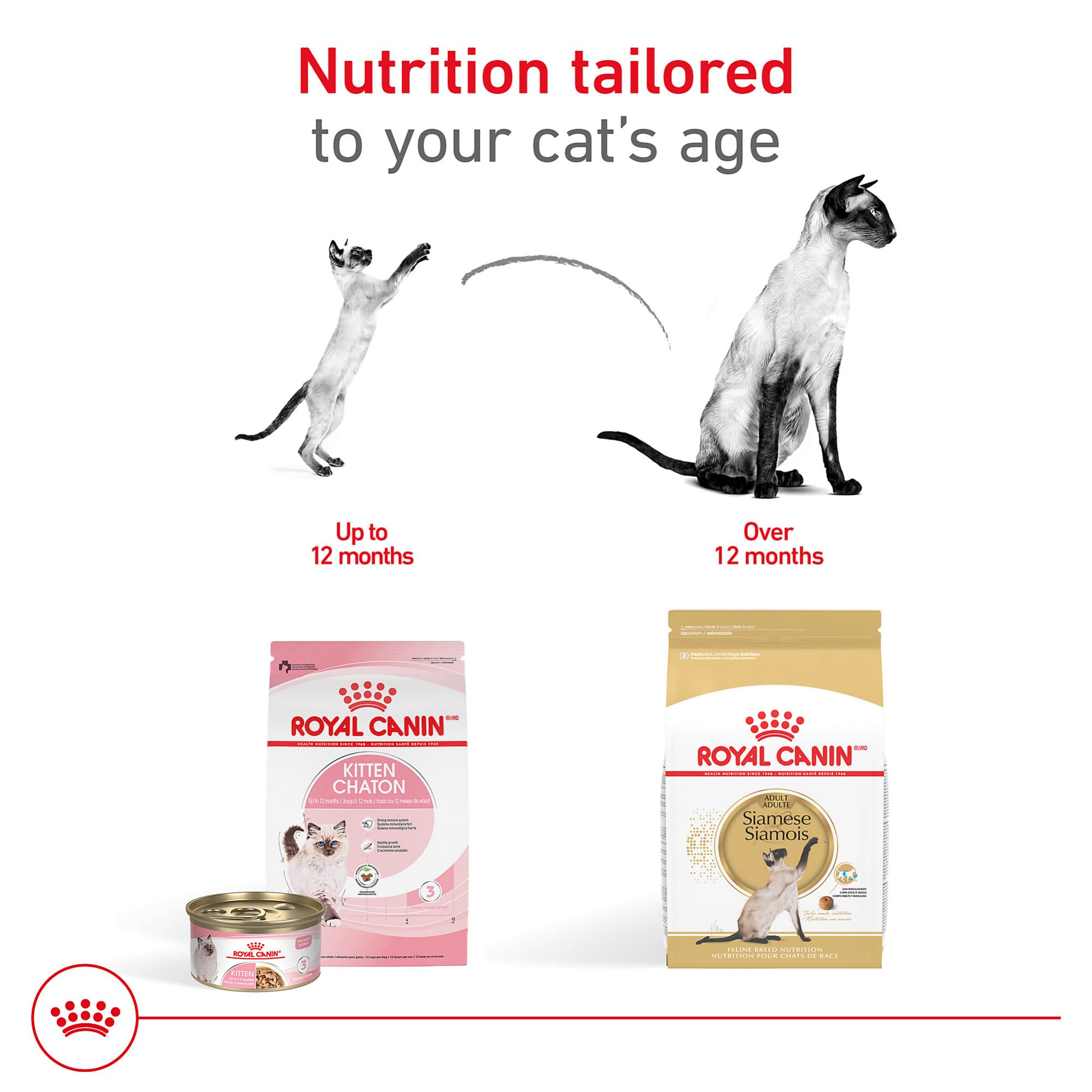 Royal Canin Siamese digestive-support formula with highly digestible proteins
