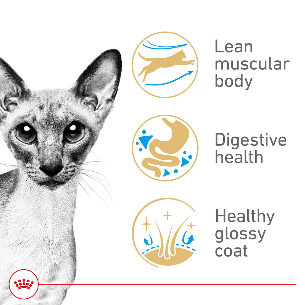 Royal Canin Siamese ring-shaped kibble close-up promoting thorough chewing