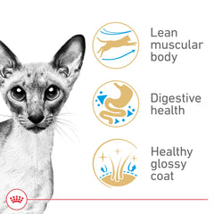 Royal Canin Siamese ring-shaped kibble close-up promoting thorough chewing