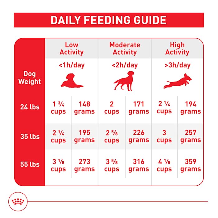 Royal Canin Size Health Medium dog food in a bowl at mealtime.