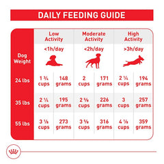 Royal Canin Size Health Medium dog food in a bowl at mealtime.