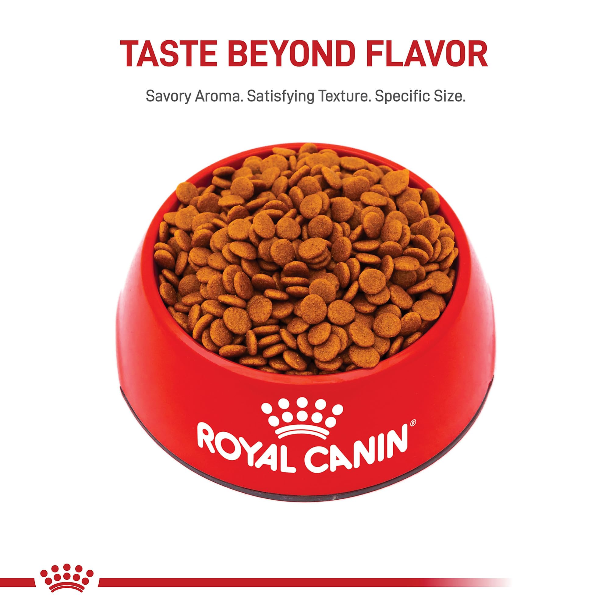 Royal Canin Size Health Medium Puppy kibble close-up highlighting crunchy texture preferred by puppies.