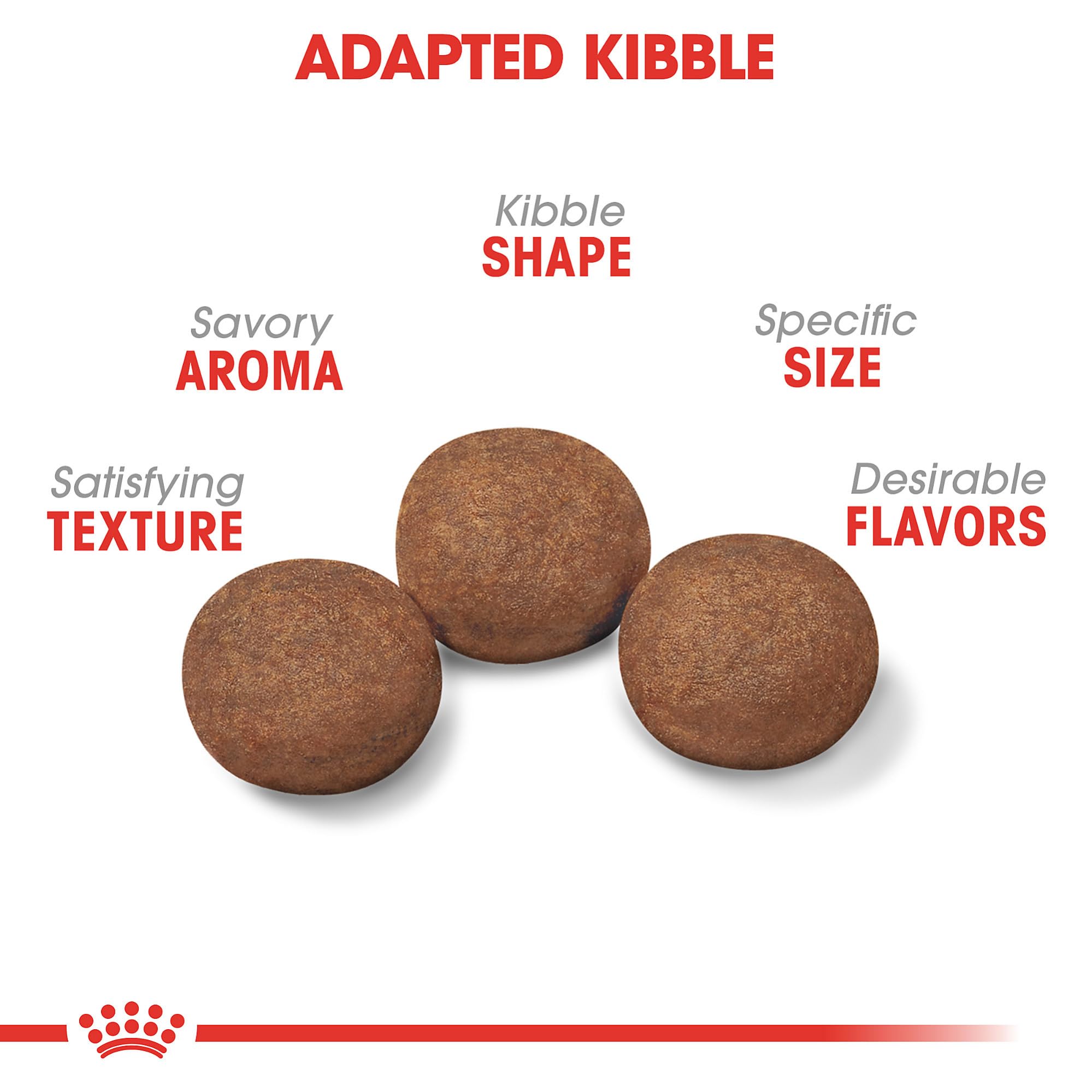 Royal Canin Medium Puppy kibble served in a bowl for a balanced daily meal.