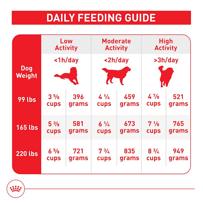 Royal Canin Size Health Nutrition Giant bowl showcases oversized kibble for easy handling.