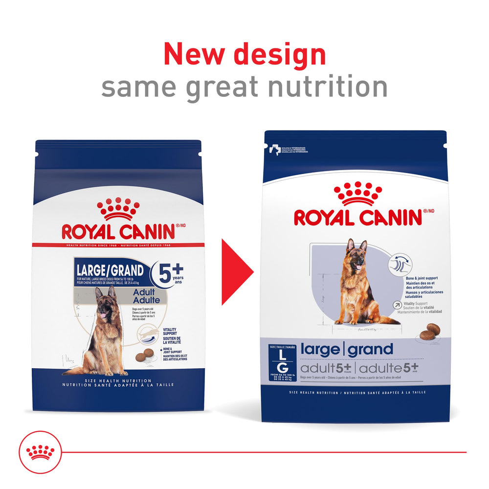 Royal Canin Size Health Nutrition Large 5+ kibble closeup highlighting crunchy texture for meals