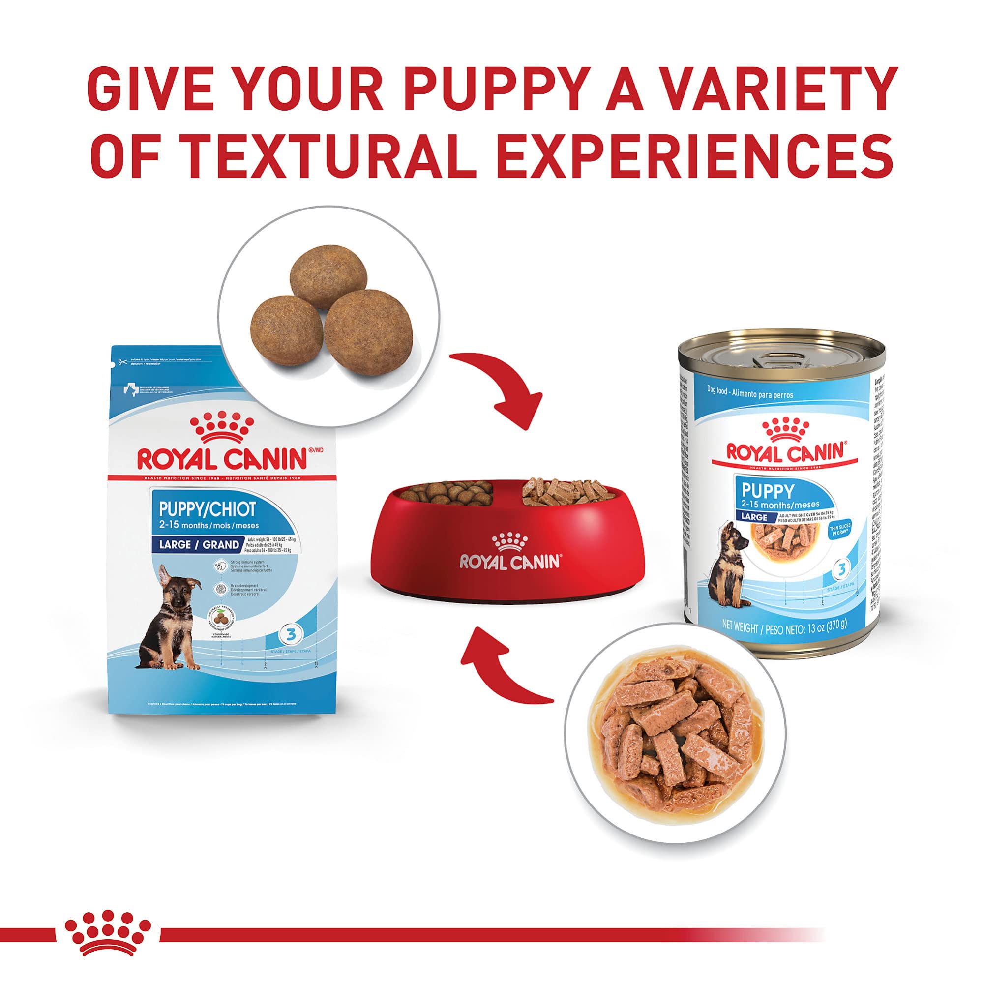 Royal Canin Large Puppy digestive health illustration emphasizing gut support.