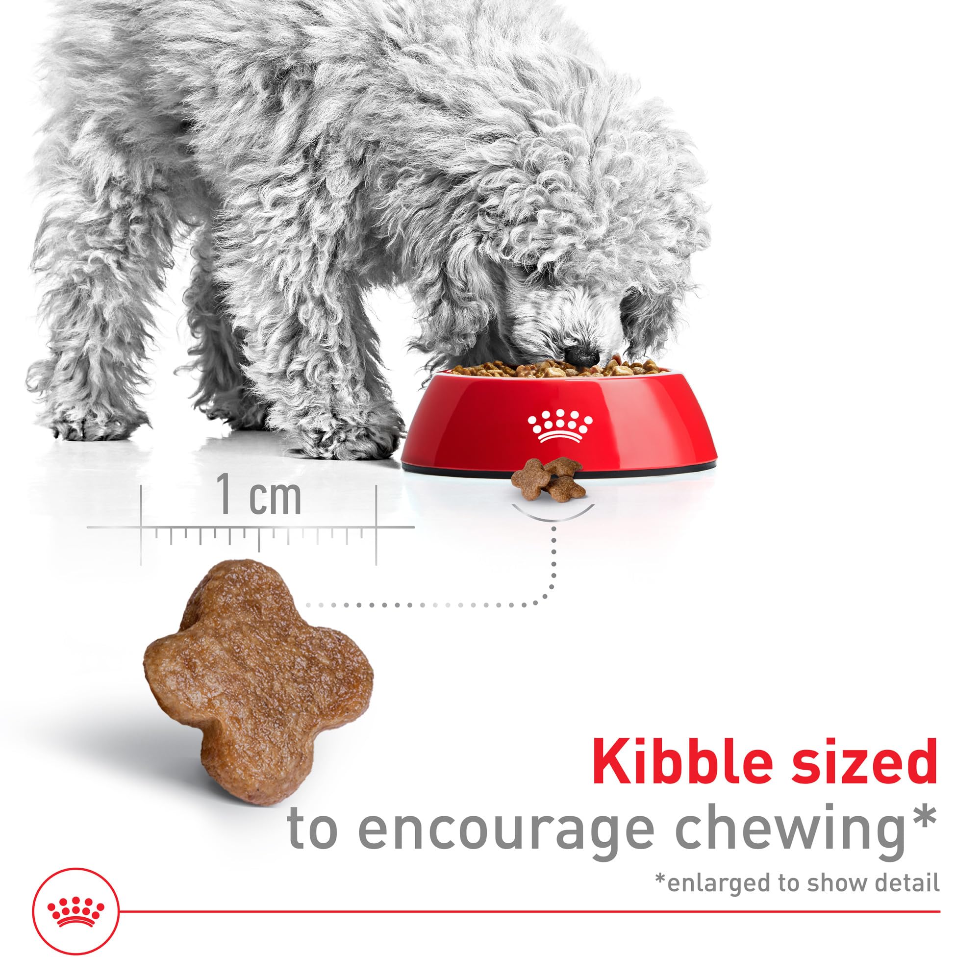 Royal Canin Size Health Nutrition Small 8+ serving bowl demonstrates easy daily feeding.