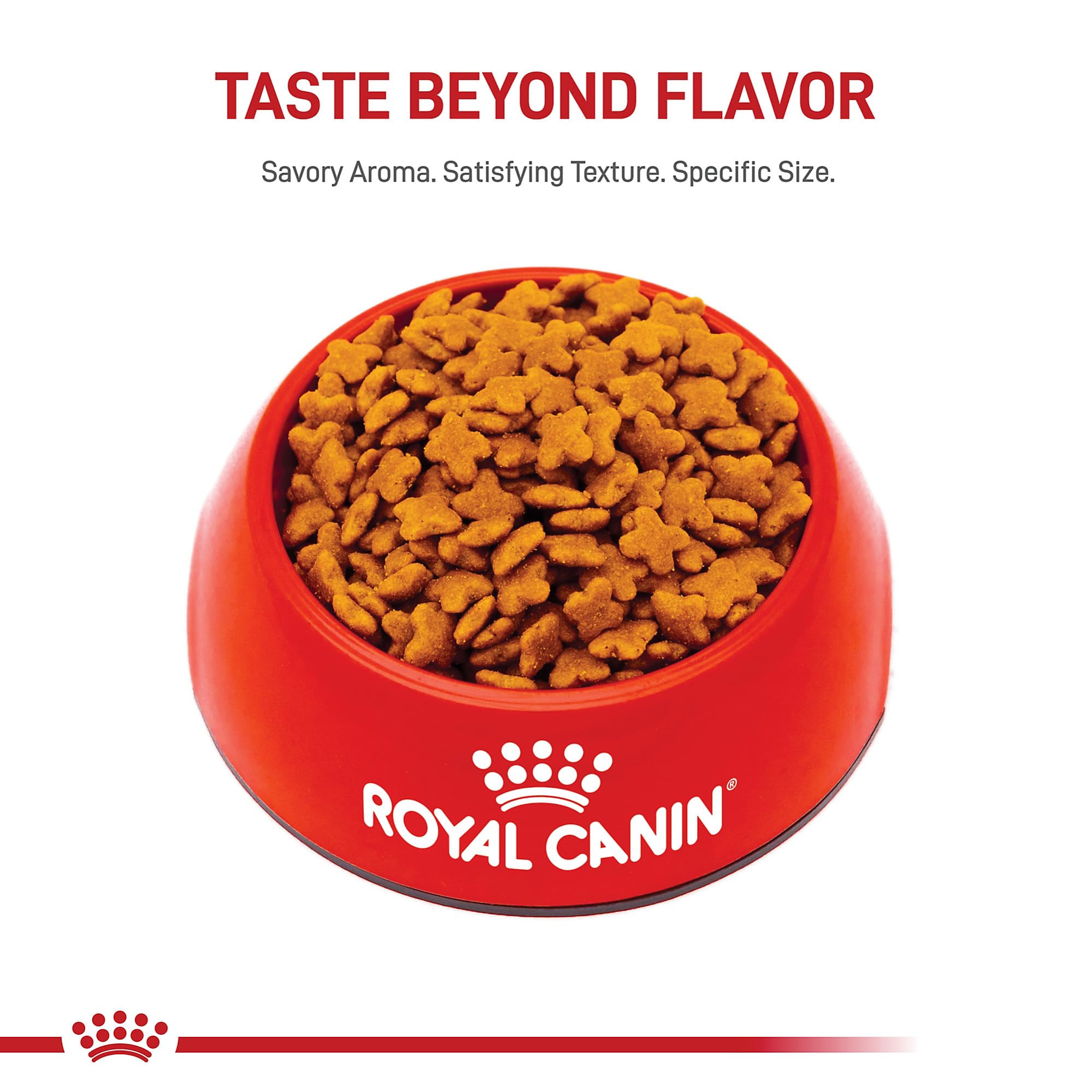 Royal Canin Size Health Nutrition Small 8+ kibble texture pairs with wet food.