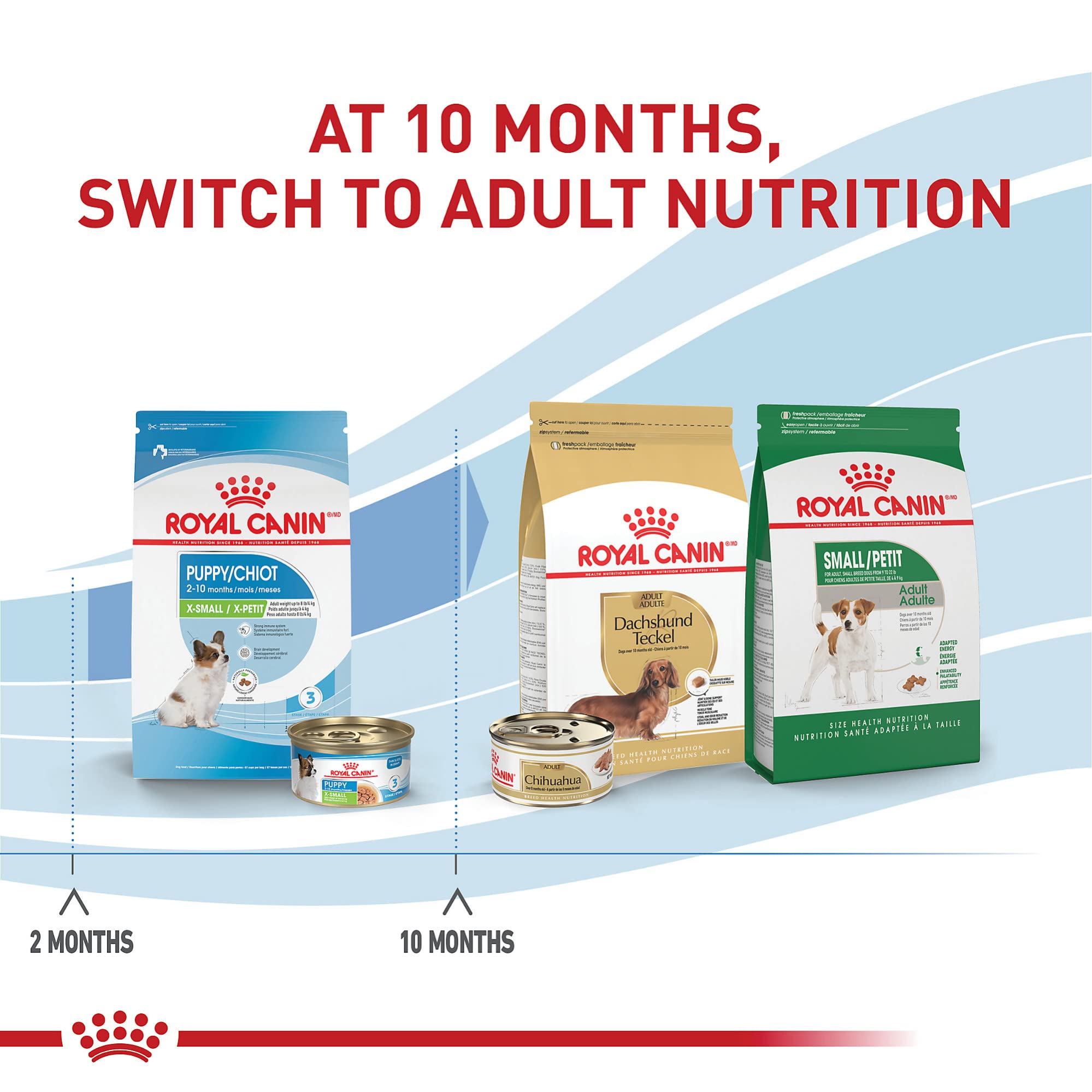 Royal Canin X-Small Puppy DHA supports brain development